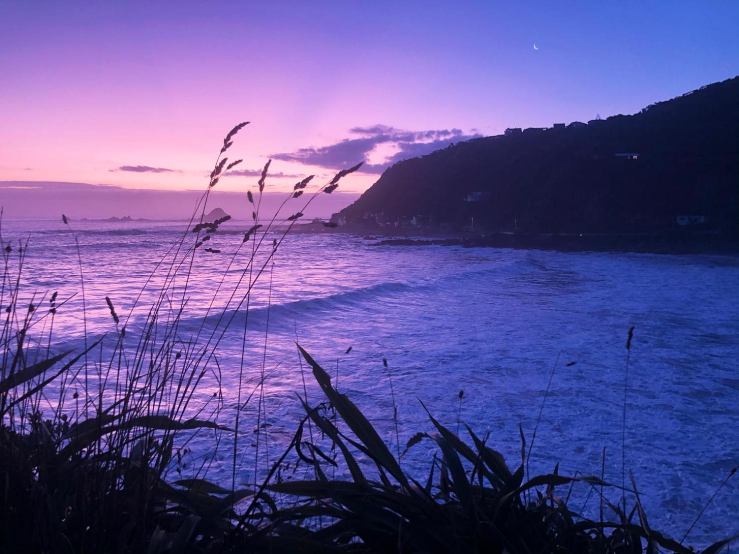 Stunning Views Ocean-Front Villa Wellington Exteriör bild